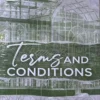 Terms and Conditions by Lauren Asher