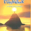 Kamyabi Ka Paigham By Qasim Ali Shah