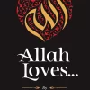 Allah Loves Book by Omar Suleiman
